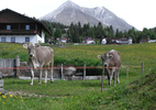 © 2025 Haeuslerhof