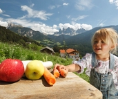 © 2025 Haeuslerhof