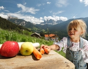 © 2025 Haeuslerhof