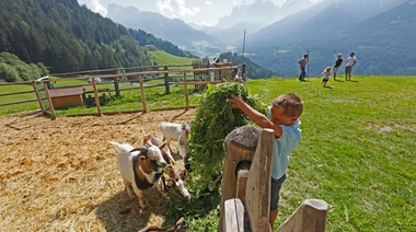 © 2025 Haeuslerhof