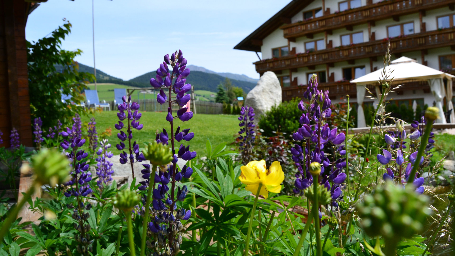 © 2025 Haeuslerhof