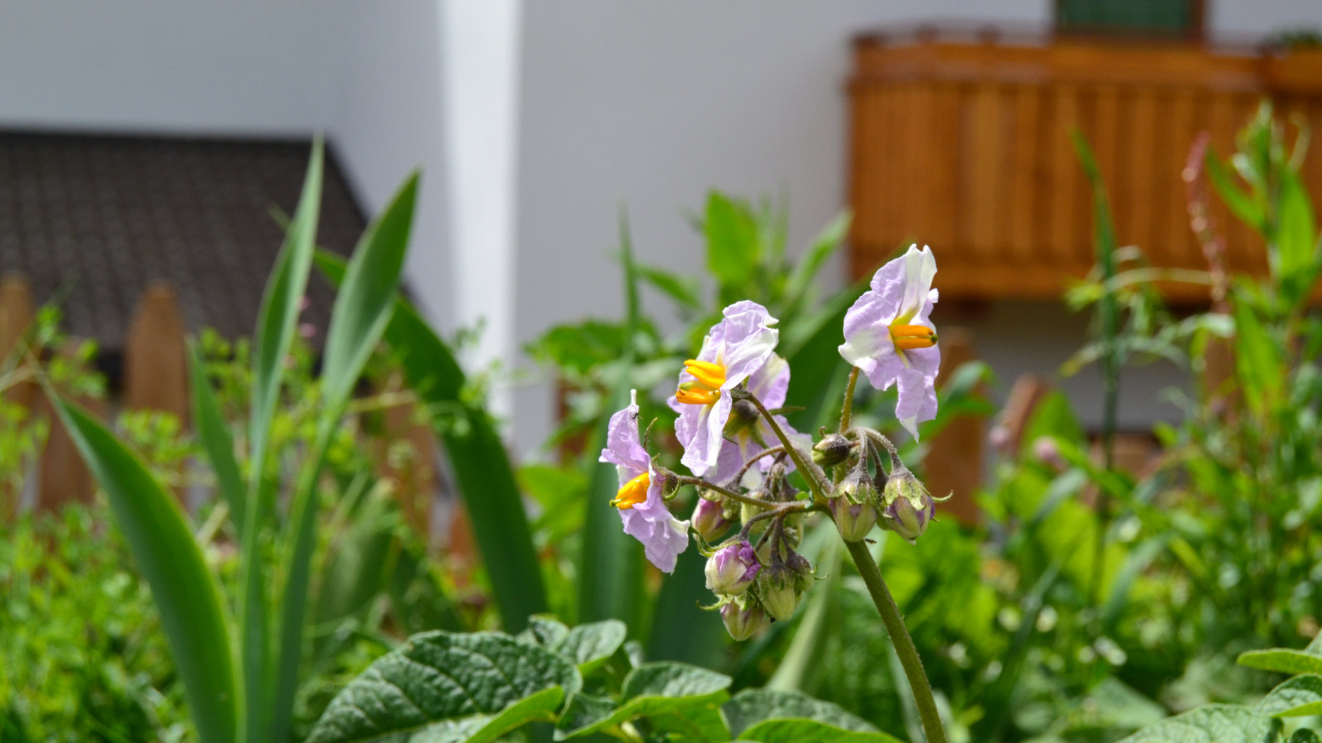 © 2025 Haeuslerhof