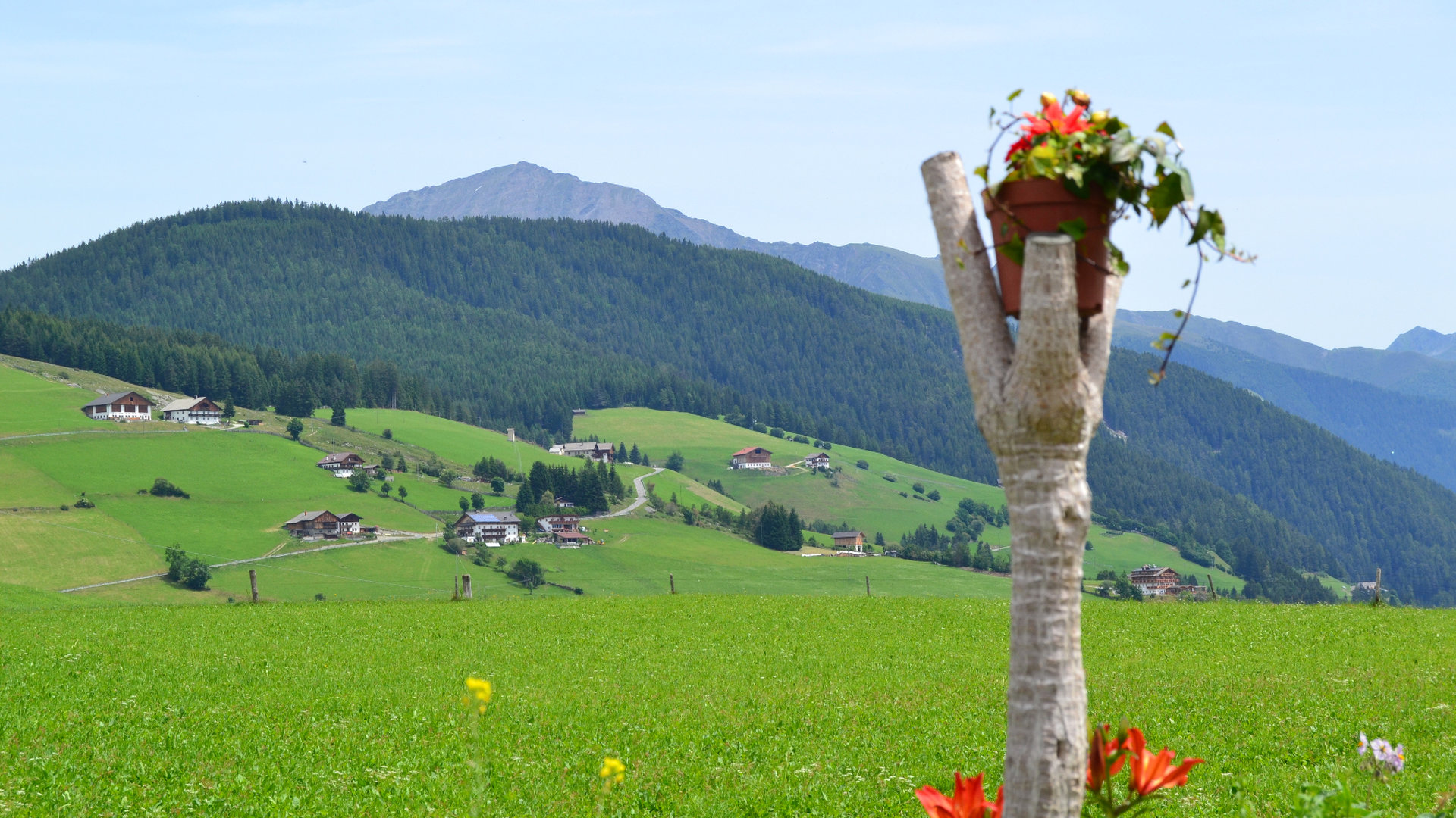© 2025 Haeuslerhof
