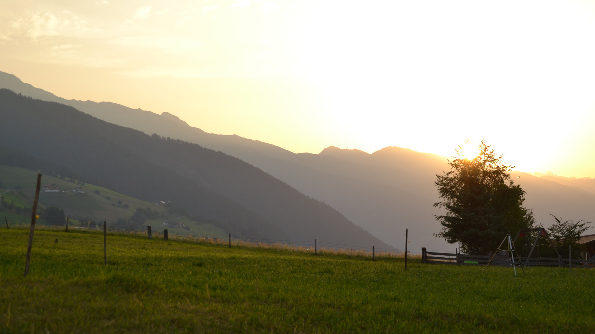 © 2025 Haeuslerhof