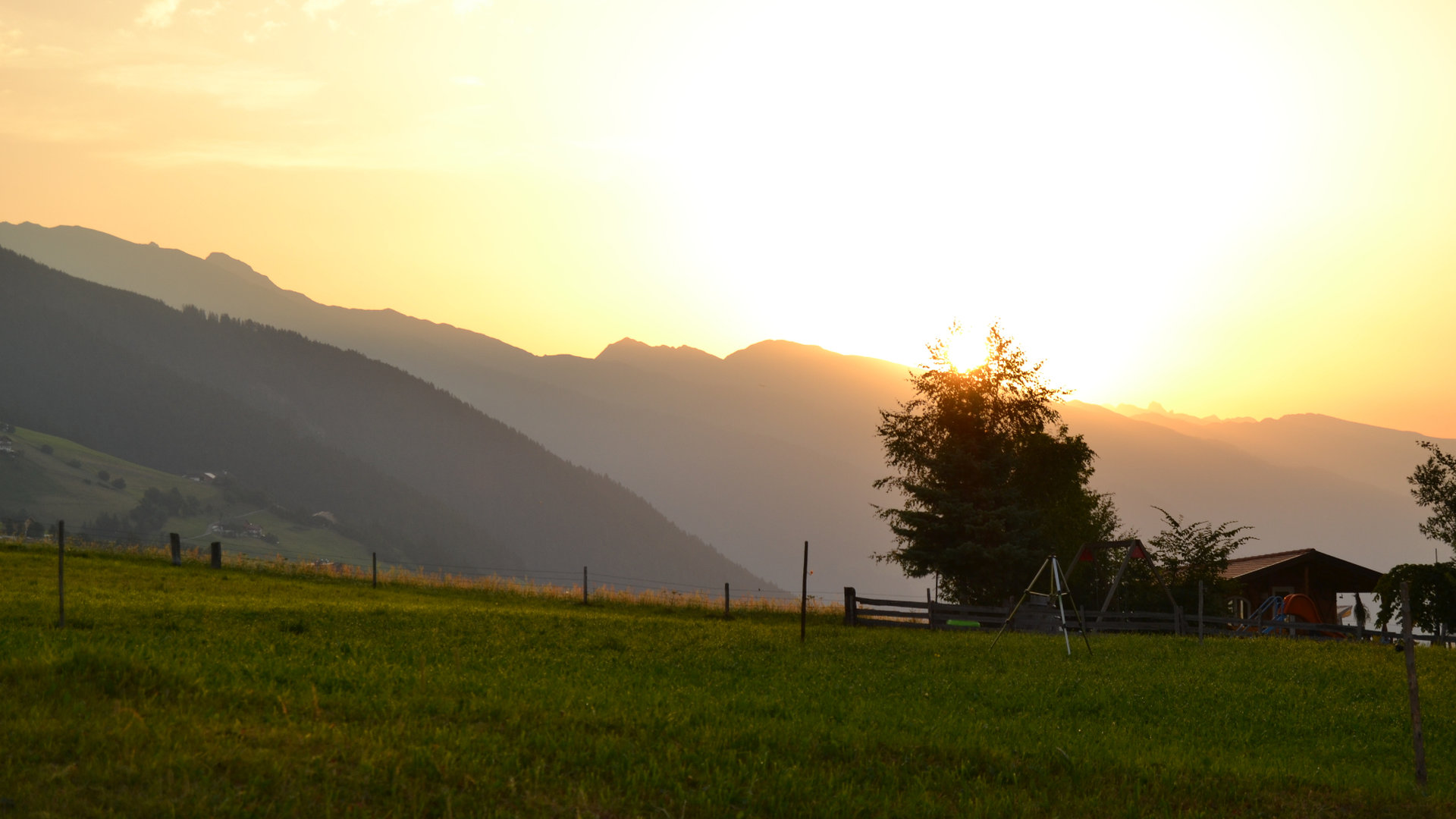 © 2025 Haeuslerhof