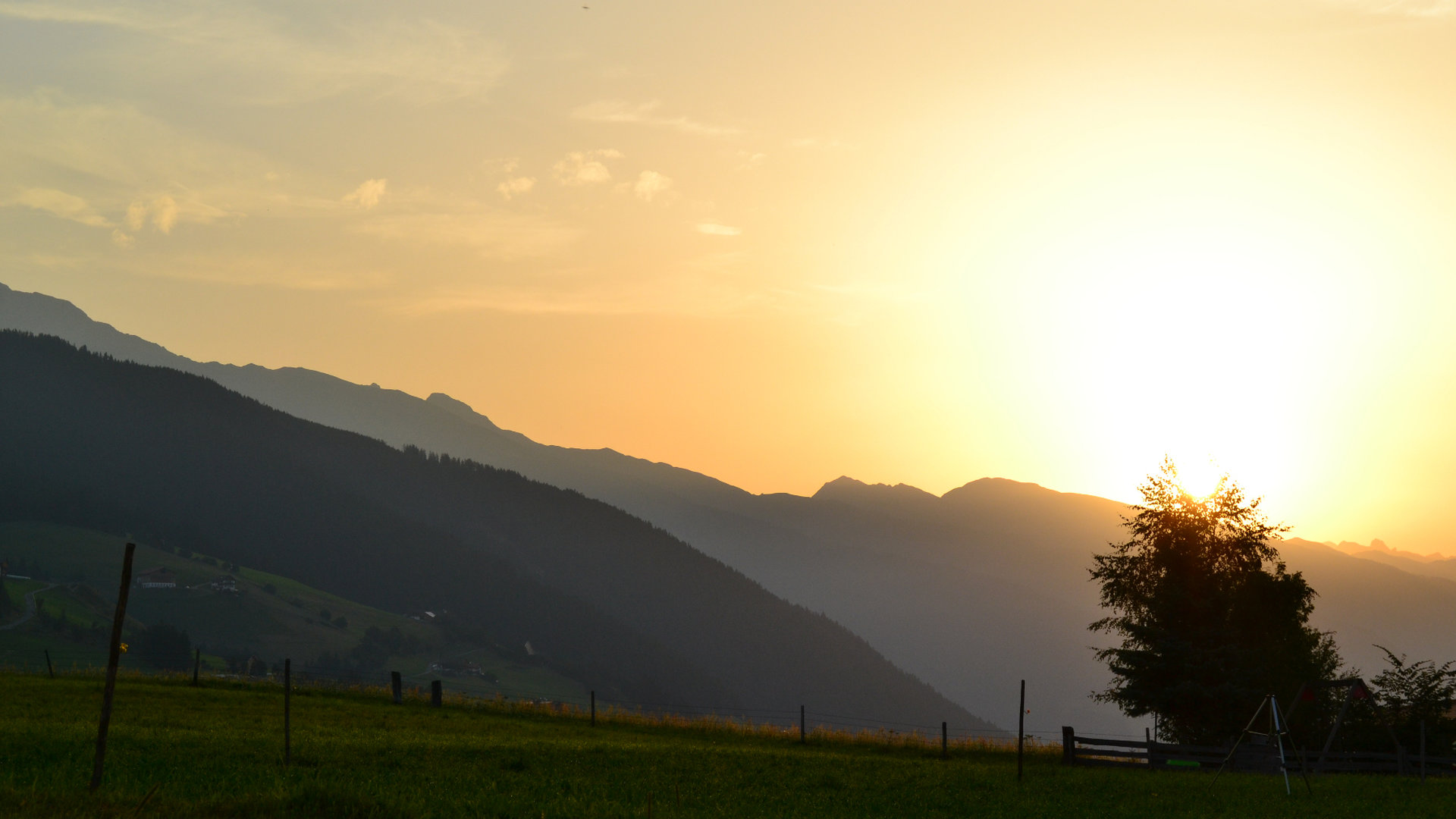 © 2025 Haeuslerhof