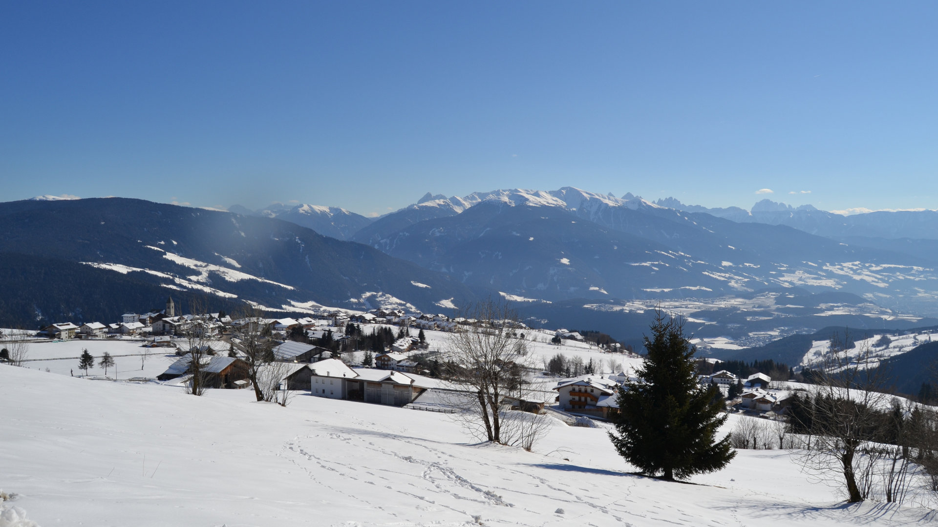© 2025 Haeuslerhof