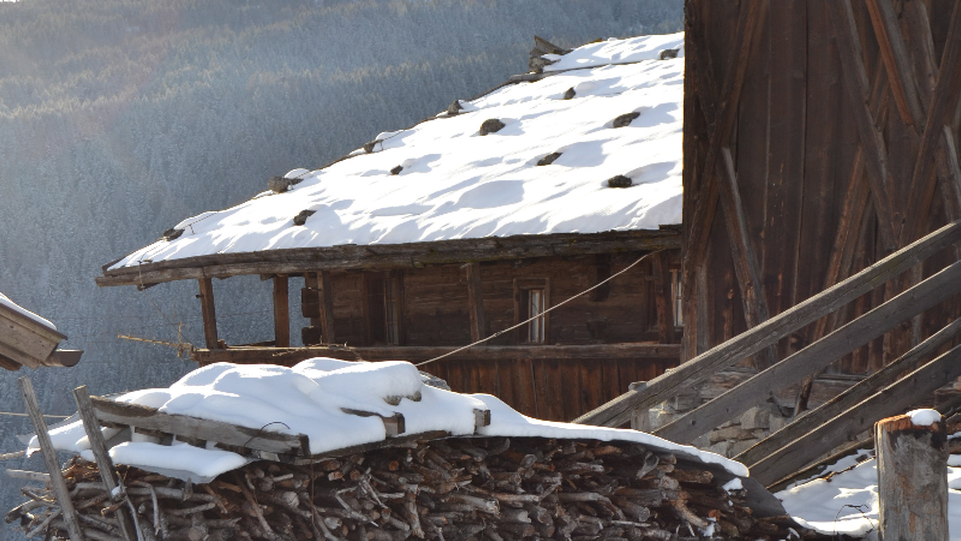 © 2025 Haeuslerhof