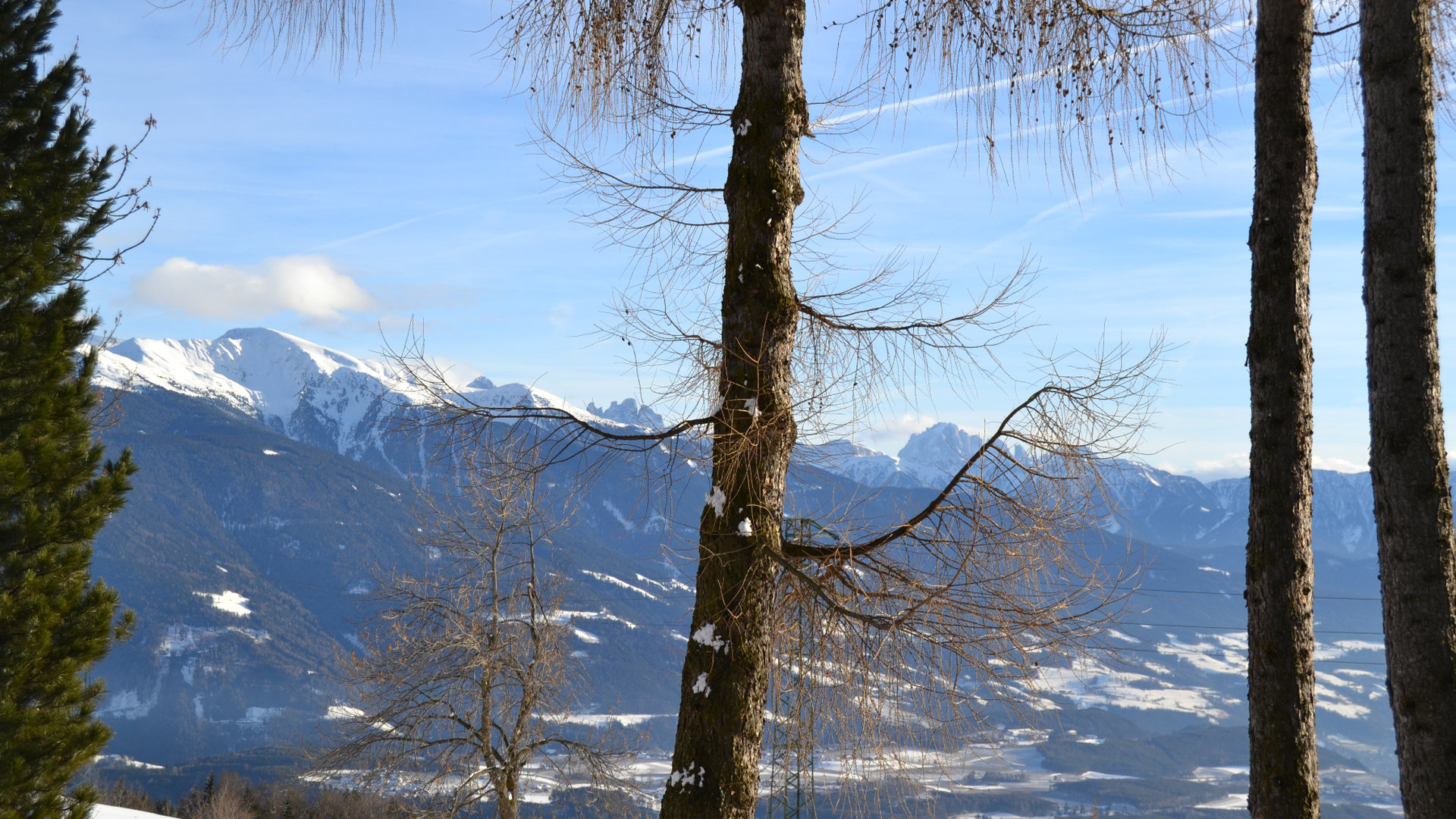 © 2025 Haeuslerhof