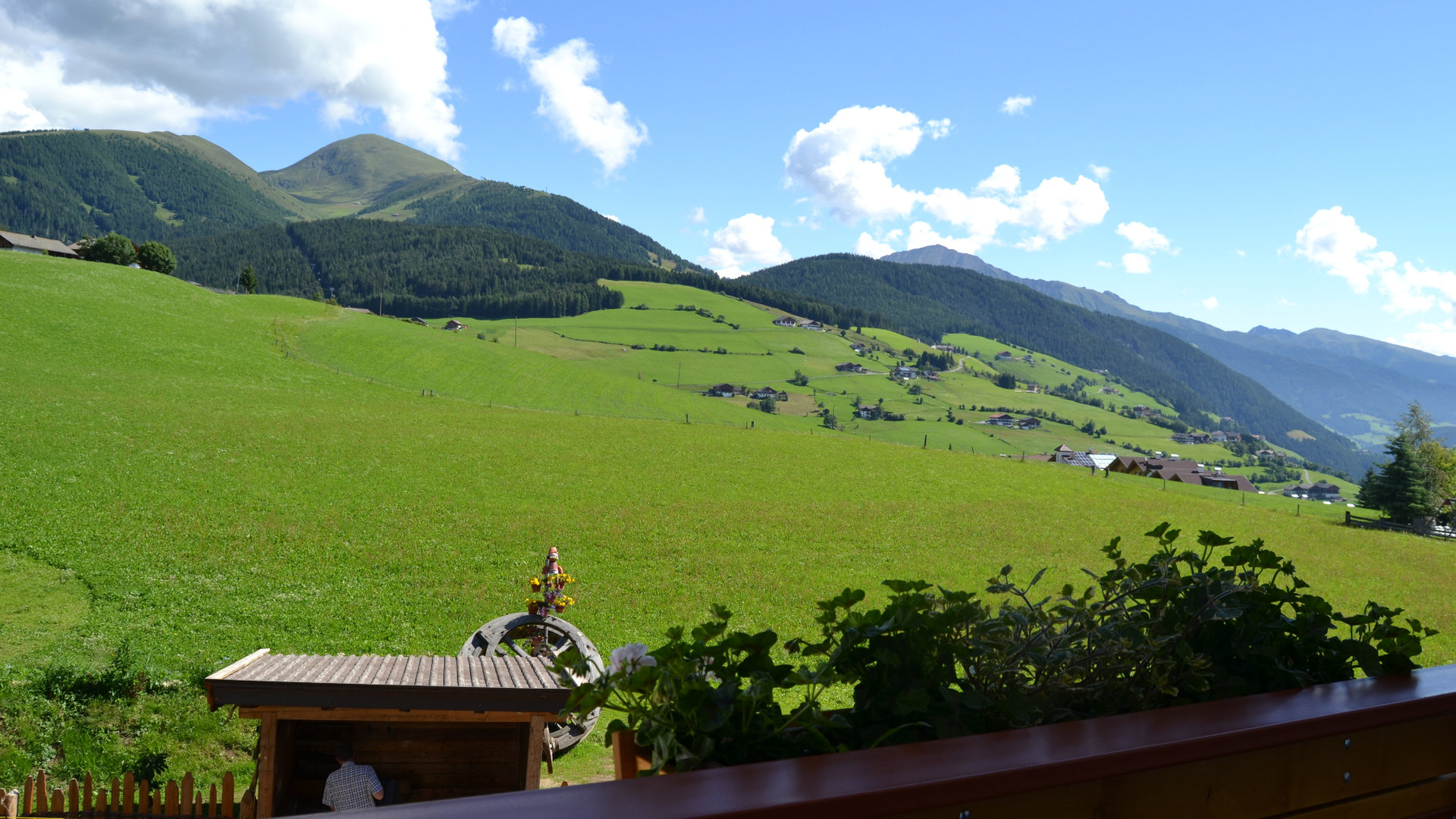 © 2025 Haeuslerhof