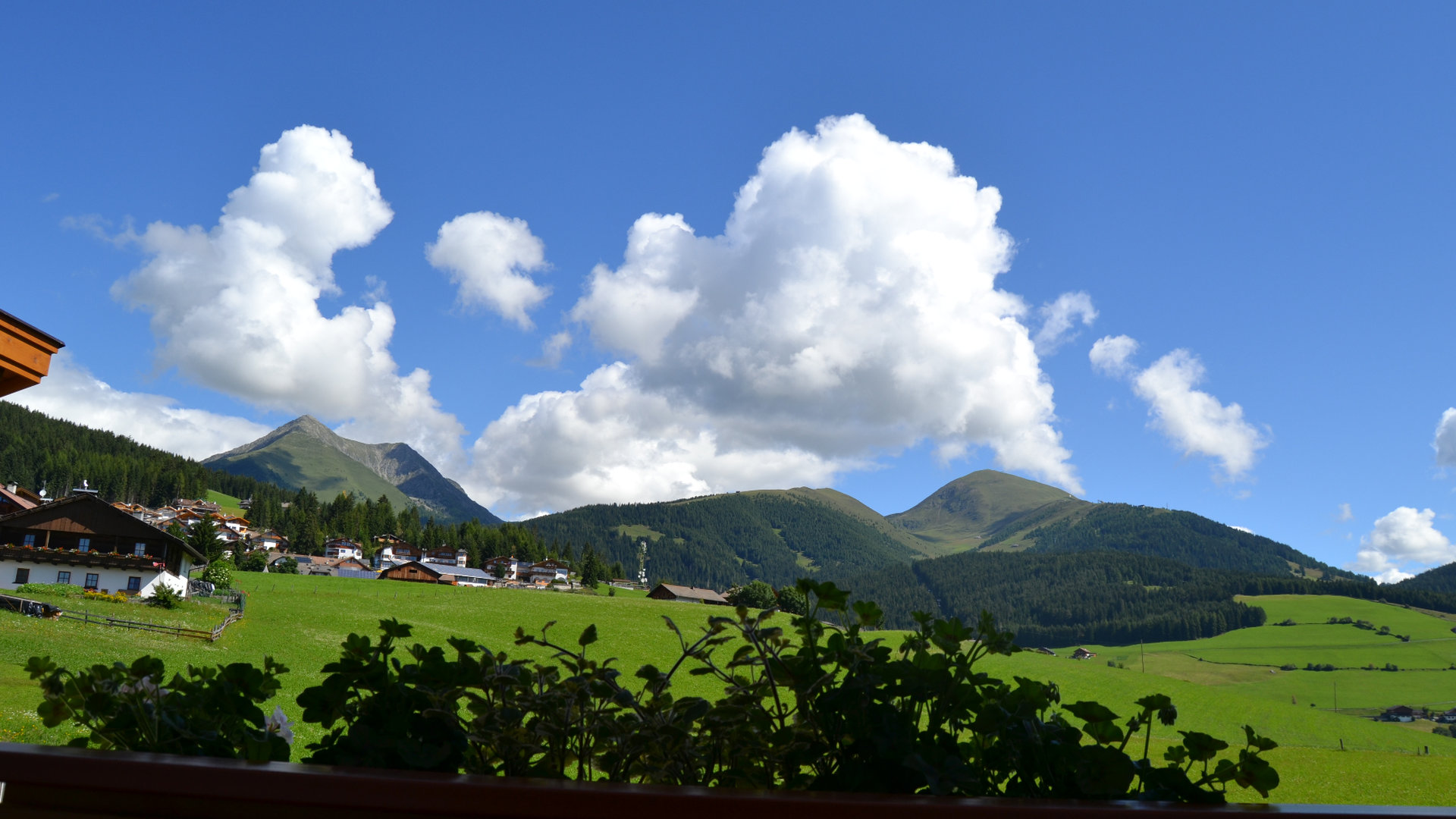 © 2025 Haeuslerhof